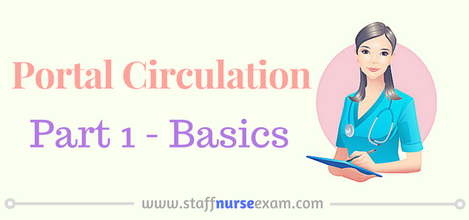 Portal Circulation Part-1 Basics