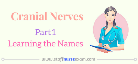 Cranial Nerves - Part 1- Learning the Names